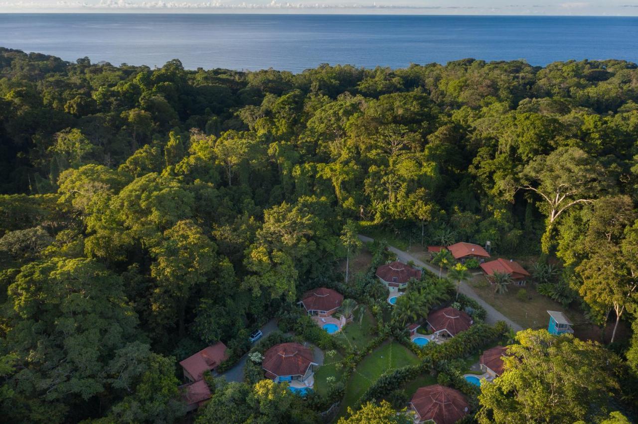 فيلا Lomas Del Caribe Puerto Viejo de Talamanca المظهر الخارجي الصورة